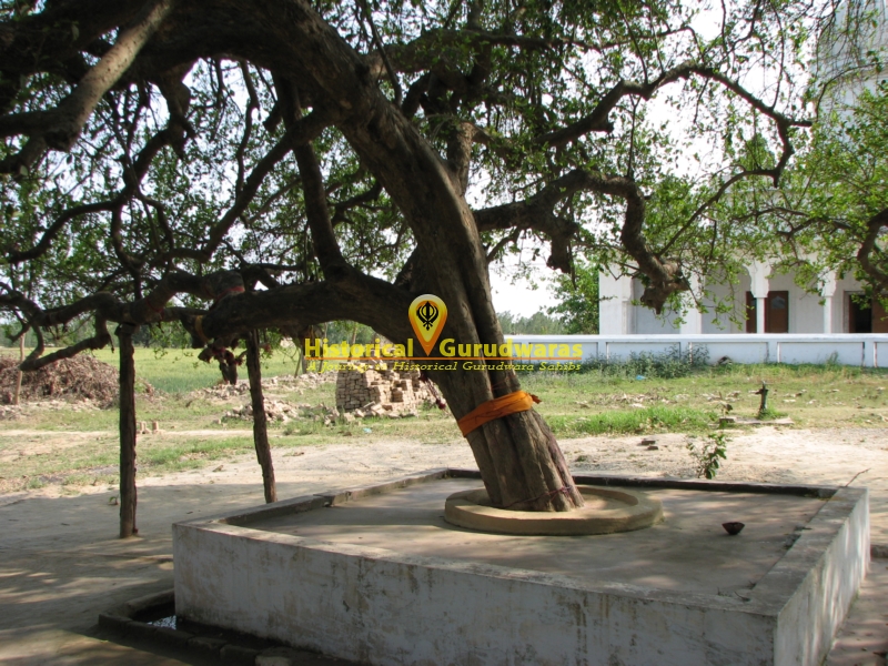 Gurudwara Shri Killa Sahib Patshahi Chevin